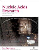 2003 cover, Nucleic Acids Research magazine