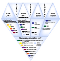 Idaho Nursing Programs