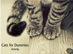 Cats for Dummies activity