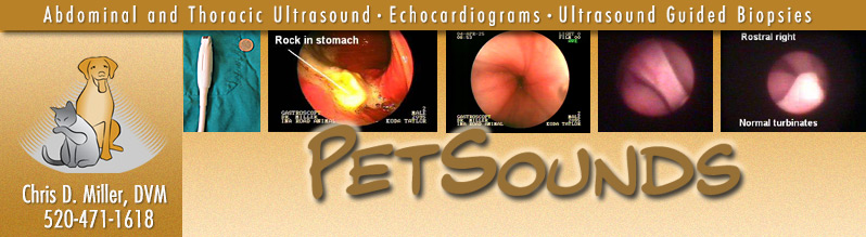 FAQs of PetSounds Mobile Veterinary Ultrasound and Endoscopy