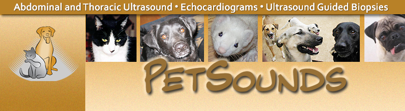 About PetSounds Mobile Ultrasound and Endoscopy Services