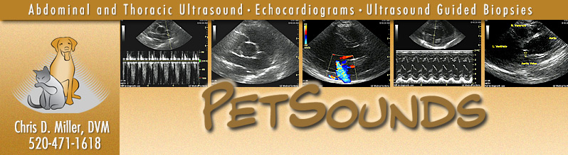 ultrasound image samples from PetSounds Mobile Veterinary Ultrasound and Endoscopy