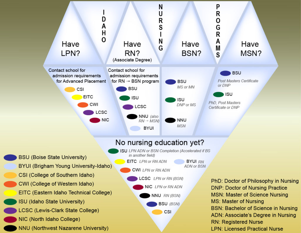Nursing License Graphic